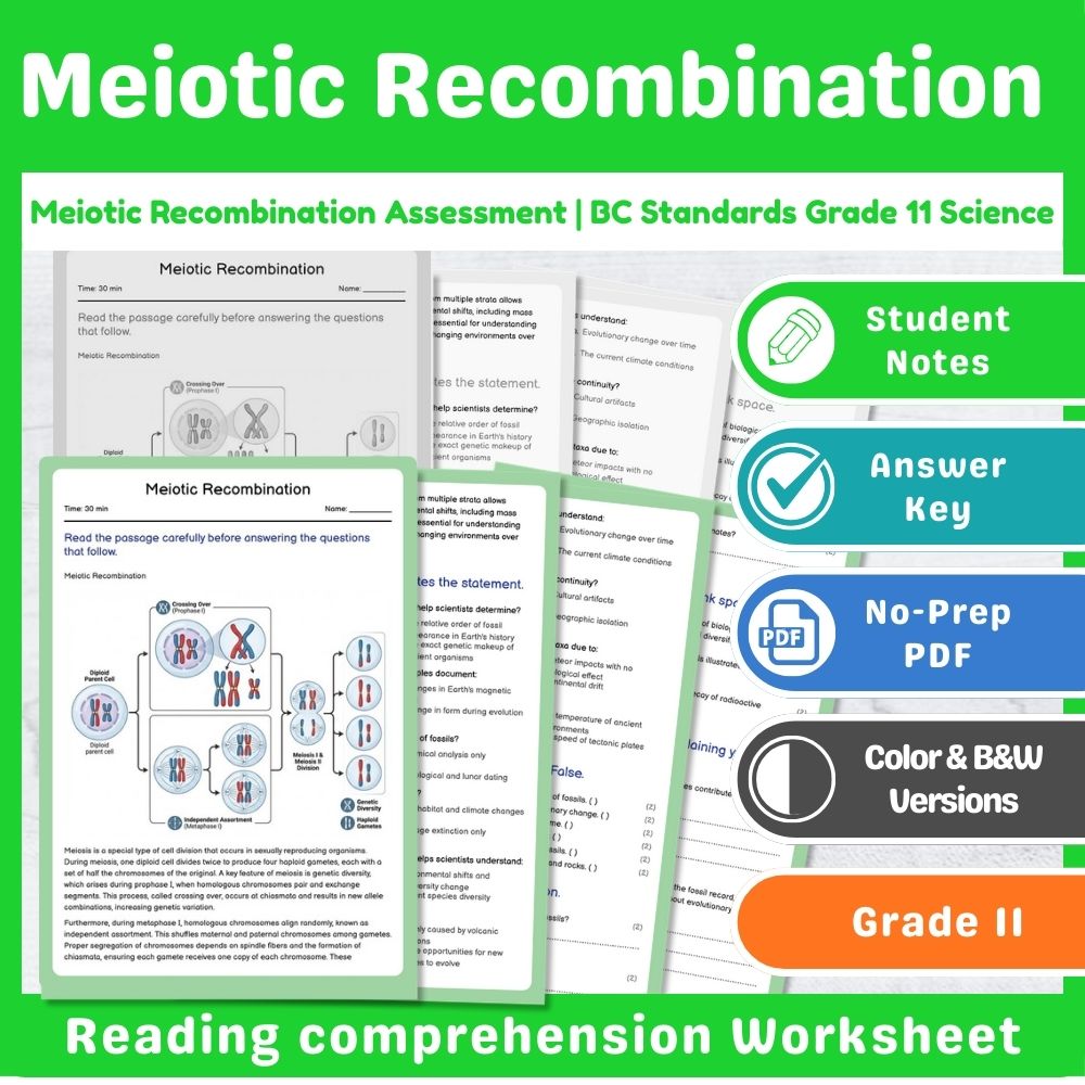 Grade 11 Science Lesson Assessment Bundle | Photosynthesis & Genetics — included worksheet 8