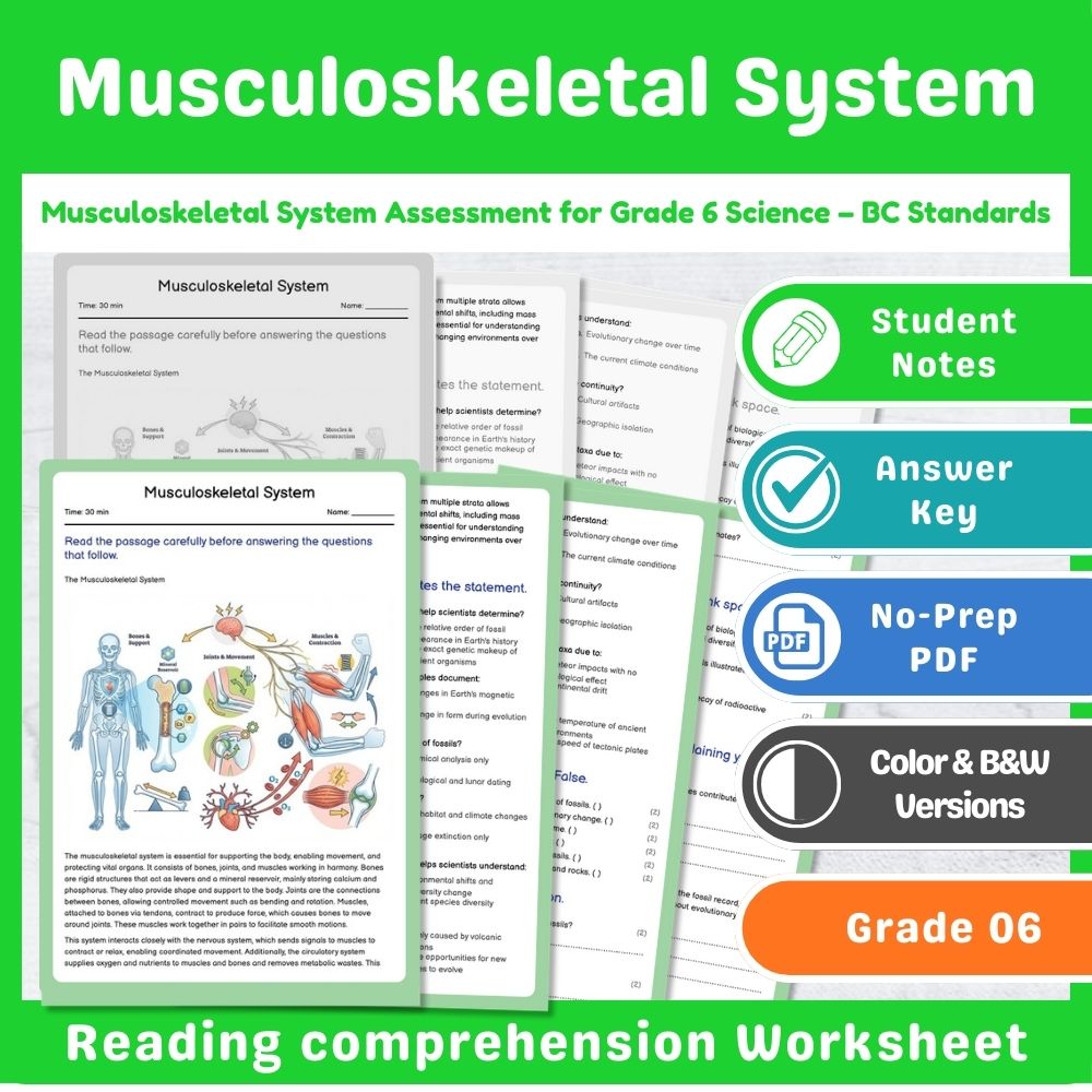 Grade 6 Science | Cell Structures & Systems Assessment – Standards-Aligned — included worksheet 3