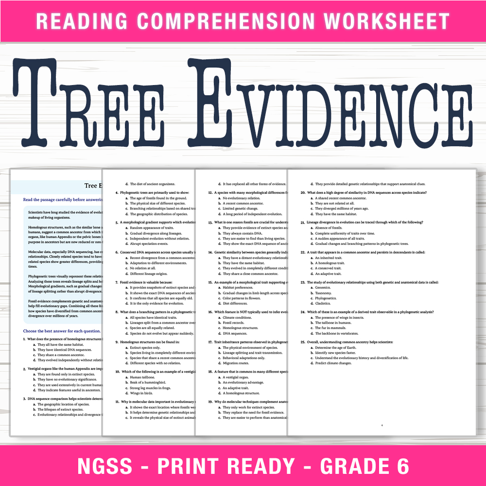 Grade 6 Science worksheet worksheet — 6th Grade Science – Tree Evidence Worksheet (PDF + Answer Key) — page 1
