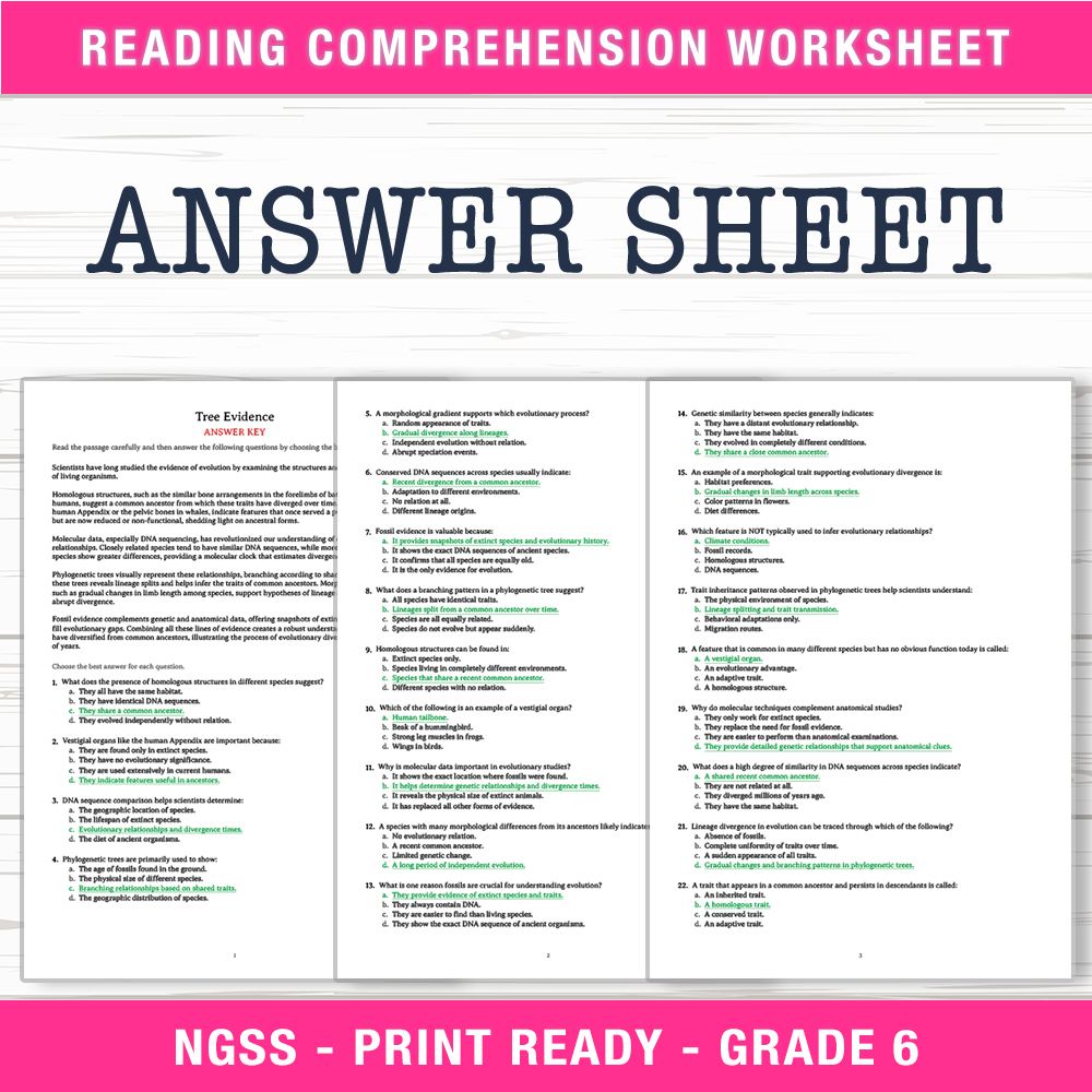 Grade 6 Science worksheet worksheet — 6th Grade Science – Tree Evidence Worksheet (PDF + Answer Key) — page 2