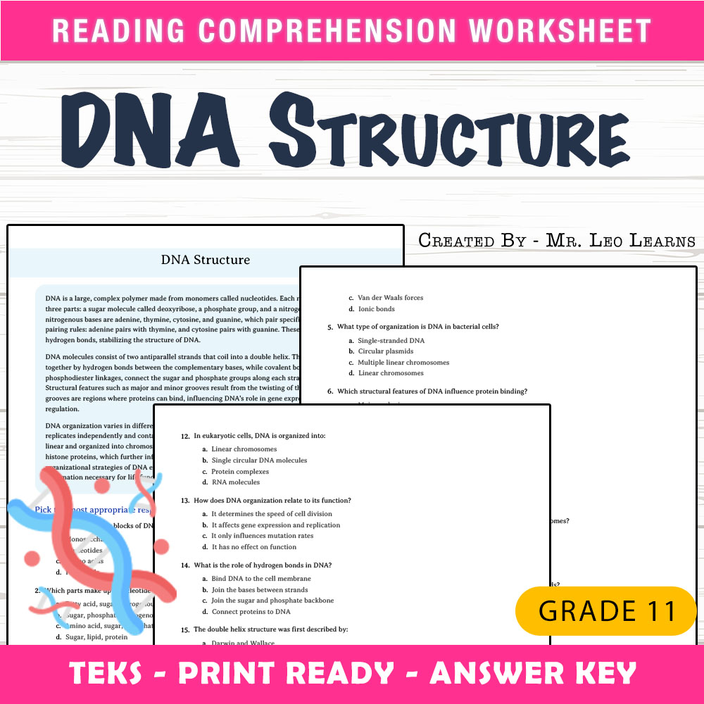 Grade 11 Science worksheet worksheet — Grade 11 Science — DNA Structure Worksheet for Mastering Genetics — page 1