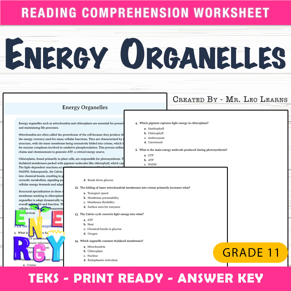 Grade 11 Science worksheet worksheet — Grade 11 Science – Energy Organelles Worksheet for Mastering Cell Power — page 1