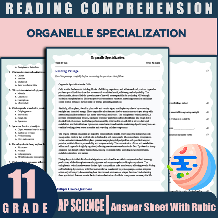 Grade 11 Science reading worksheets worksheet — 11th Grade Science | Organelle Specialization Reading Worksheet & Answer K…
