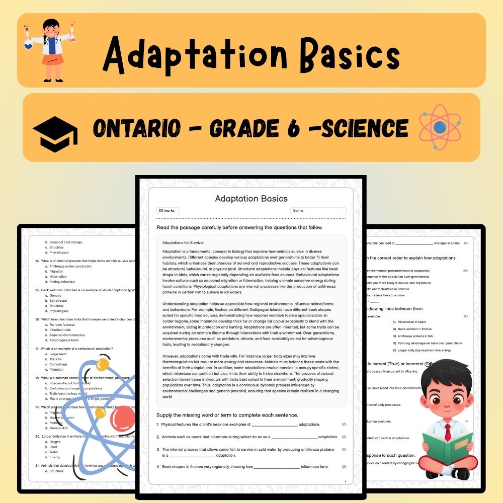 Grade 6 Science worksheet worksheet — 6th Grade Science | Adaptation Basics Worksheet (PDF) – Ontario Standards — page 1