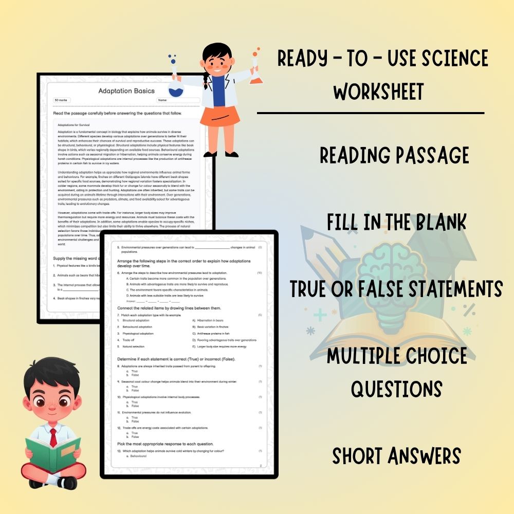 Grade 6 Science worksheet worksheet — 6th Grade Science | Adaptation Basics Worksheet (PDF) – Ontario Standards — page 2