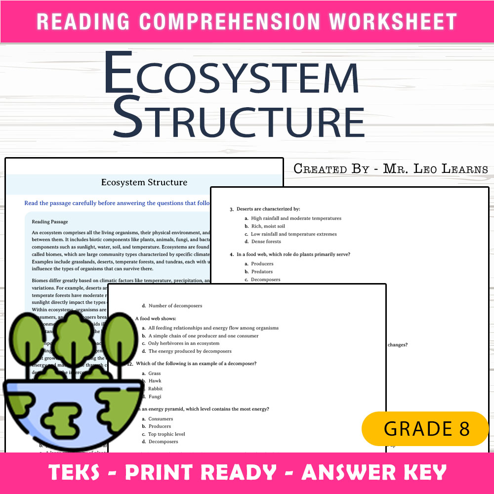 Grade 8 Science worksheet worksheet — 8th Grade Science – Ecosystem Structure Worksheet for Mastery | PDF + Answer Key — p…