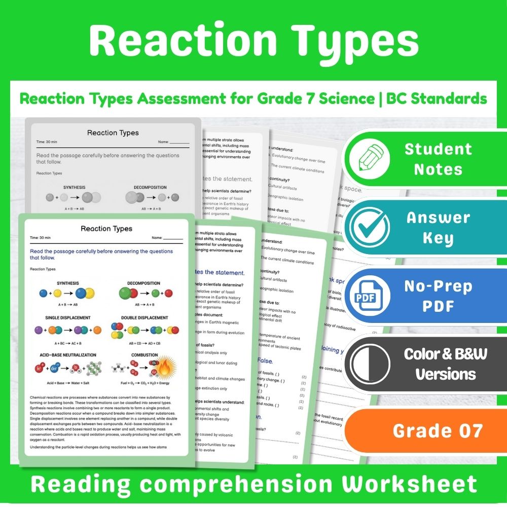 Grade 7 Science Lesson – States of Matter & Reaction Types Assessment Bundle — included worksheet 9