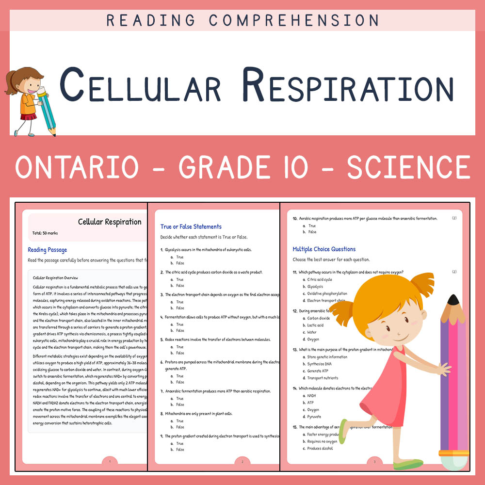 Grade 10 Science worksheet elena worksheet — Grade 10 Science | Cellular Respiration Worksheet Elena | Ontario Standard —…