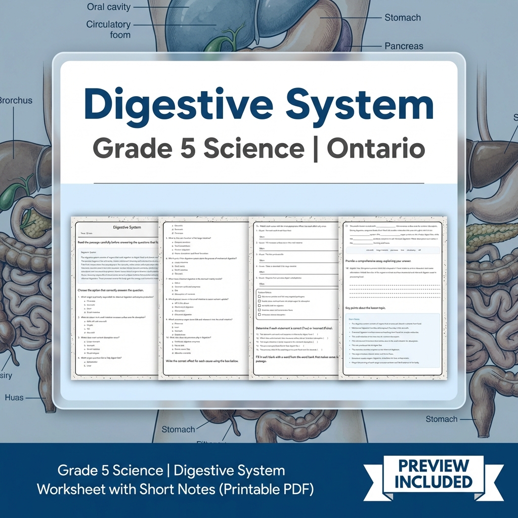 Grade 5 Science Lesson Group – Ontario Curriculum Worksheets Bundle — included worksheet 4
