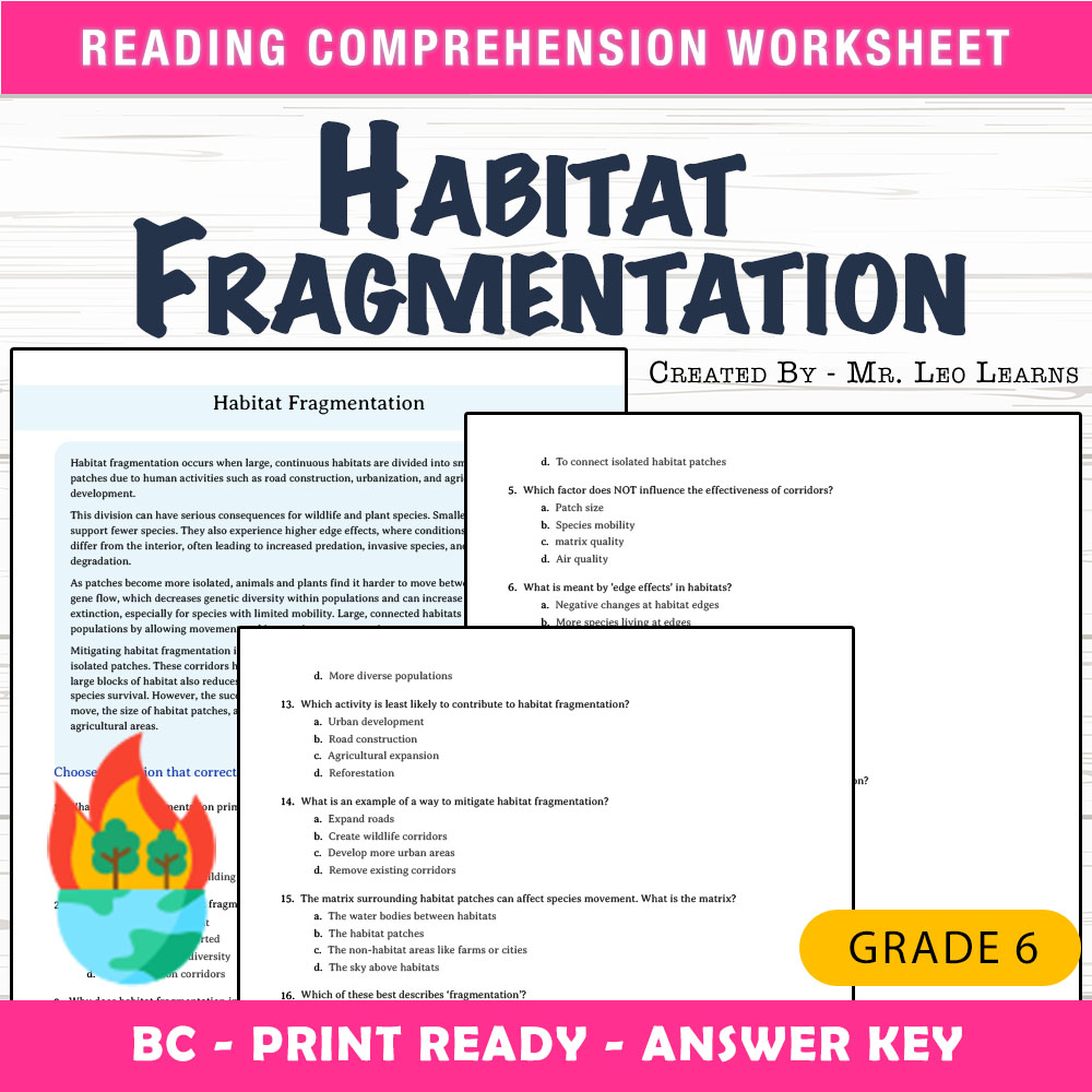 Grade 6 Science worksheet mcq paper worksheet — Grade 6 Science — Habitat Fragmentation Worksheet MCQ Paper for Mastery —…
