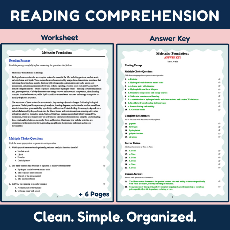 Grade 12 Science reading worksheets worksheet — 12th Grade Science | Molecular Foundations Reading Worksheet + Answer Key…