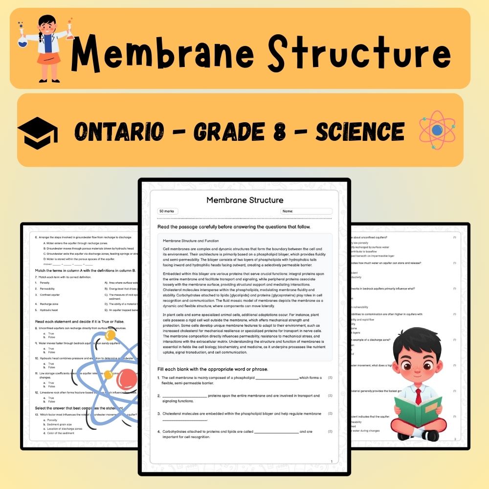 Grade 8 Science worksheet worksheet — Grade 8 Science | Membrane Structure Worksheet (PDF) – Ontario Standard — page 1