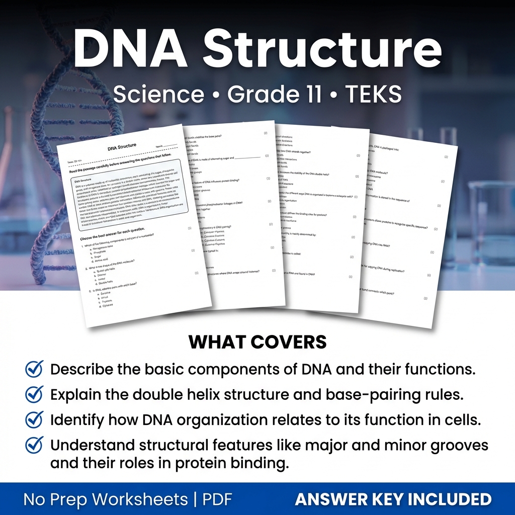 DNA Structure Worksheet for Grade 11 Science | TEKS aligned practice