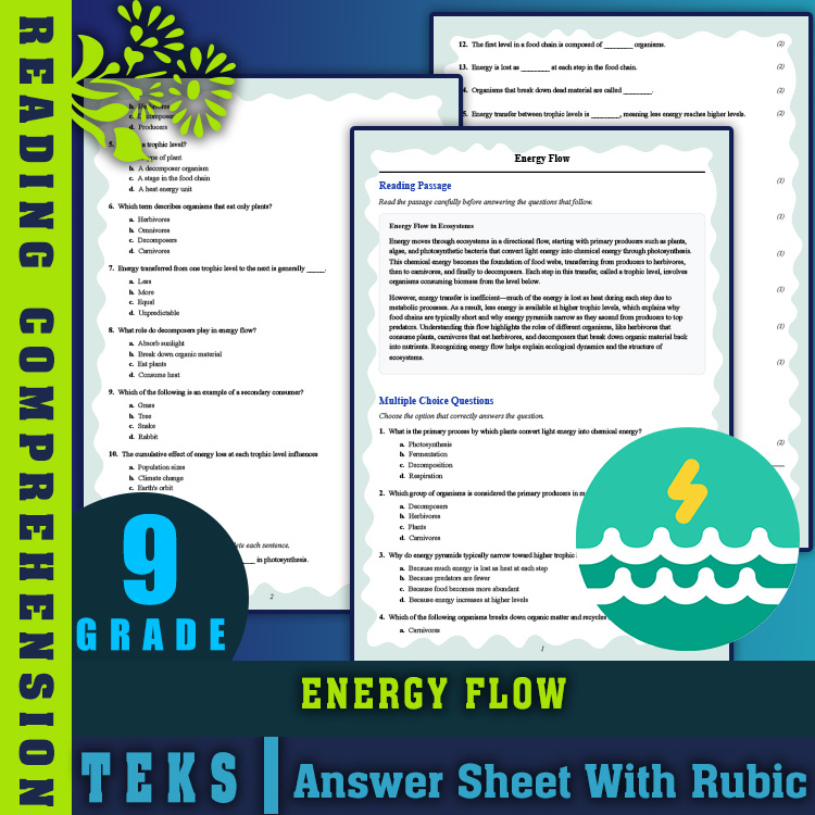 Grade 9 Science reading worksheets worksheet — 9th Grade Science | Energy Flow Reading Worksheet with PDF Answer Key — page 1