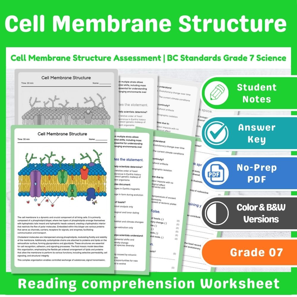 Grade 7 Science | Cell Functions & Organization Assessment – Standards-Aligned — included worksheet 6