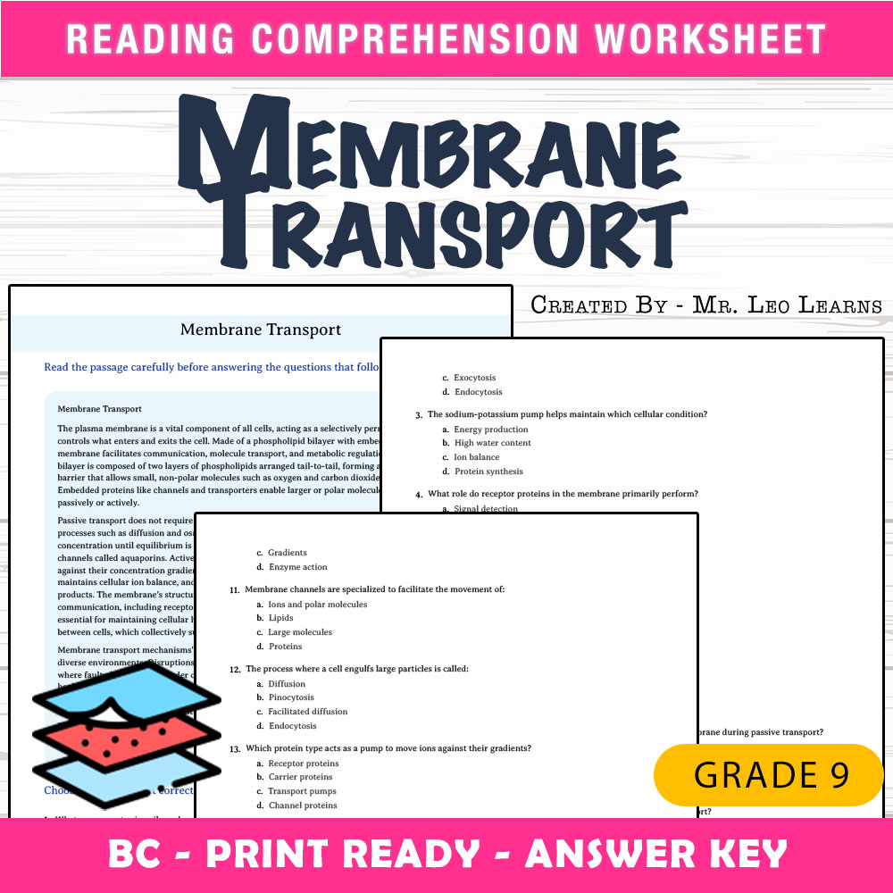 Grade 9 Science worksheet mcq paper worksheet — Grade 9 Science — Membrane Transport Worksheet MCQ Paper — page 1