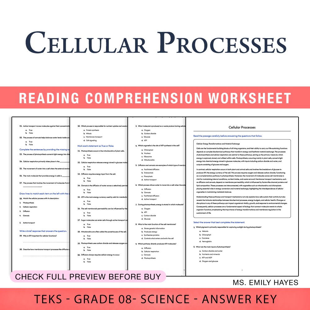Grade 8 Science worksheet worksheet — 8th Grade Science | Cellular Processes Worksheet (PDF+ Answer Key) — page 1