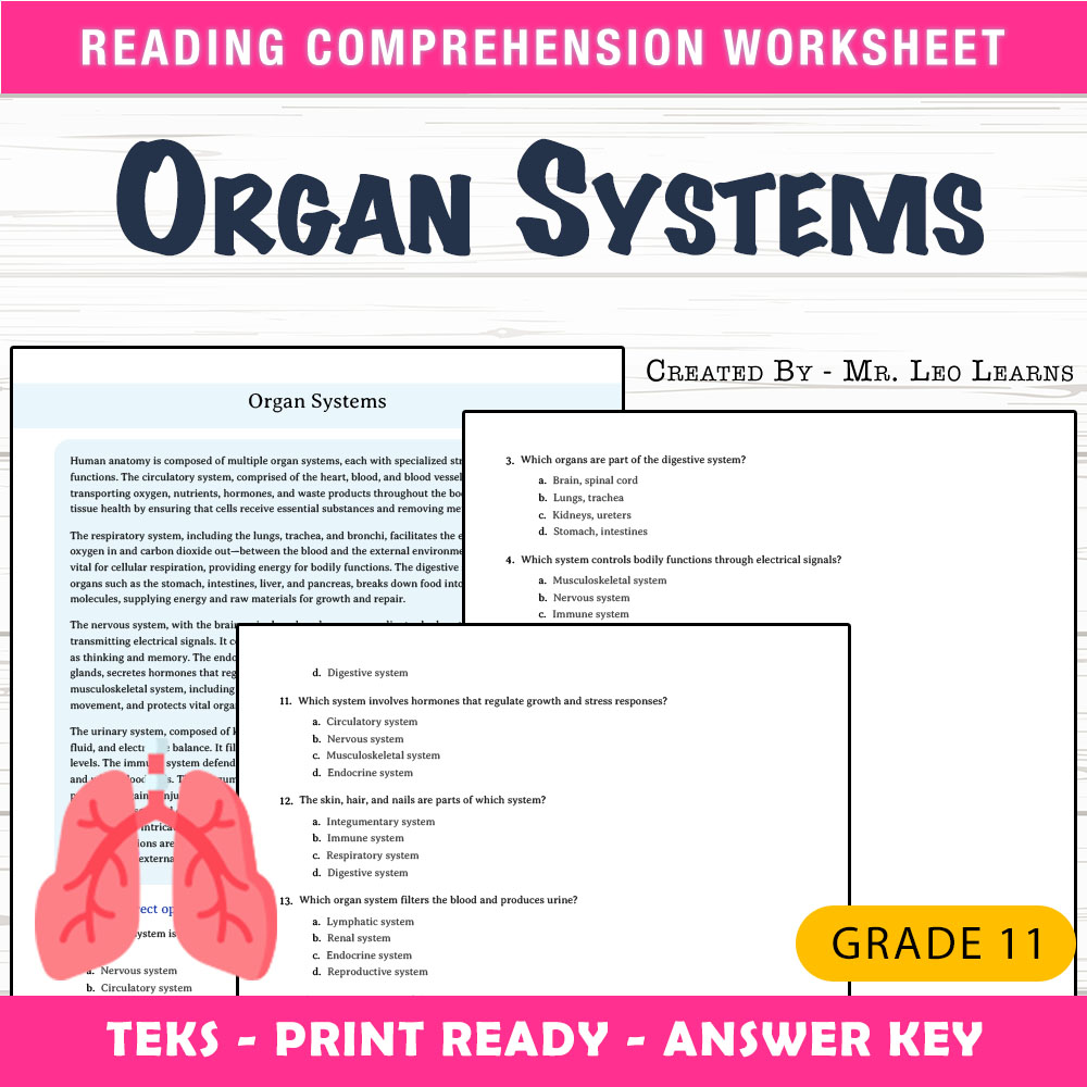 Grade 11 Science worksheet worksheet — Grade 11 Science – Organ Systems Worksheet for Mastering Human Anatomy — page 1