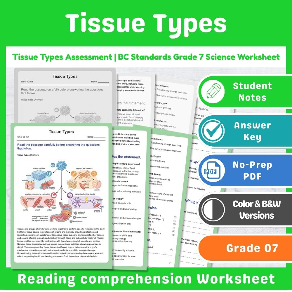 Grade 7 Science | Cell Functions & Organization Assessment – Standards-Aligned — included worksheet 7