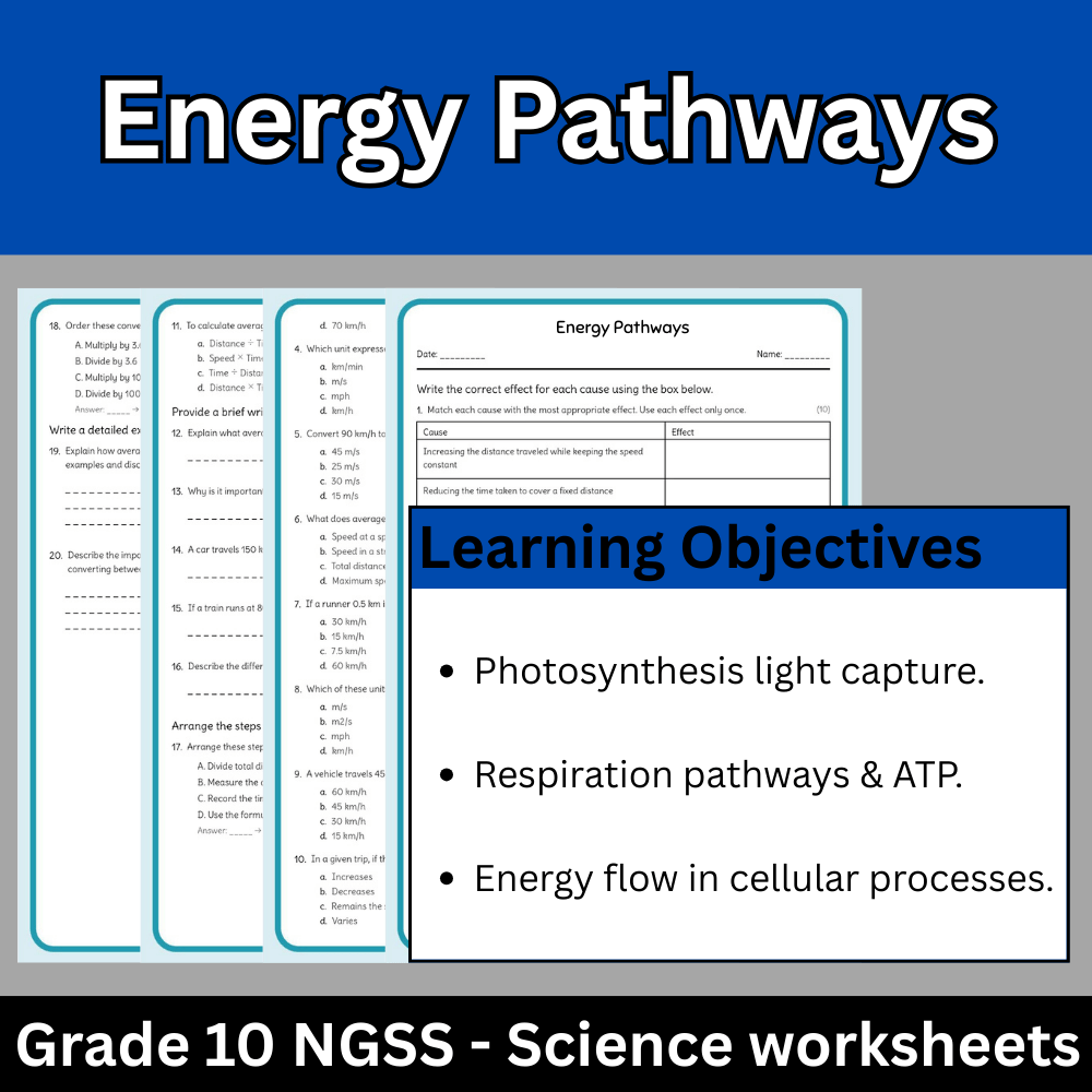 Grade 10 Science | Energy Pathways Worksheet + Answer Key – NGSS Aligned