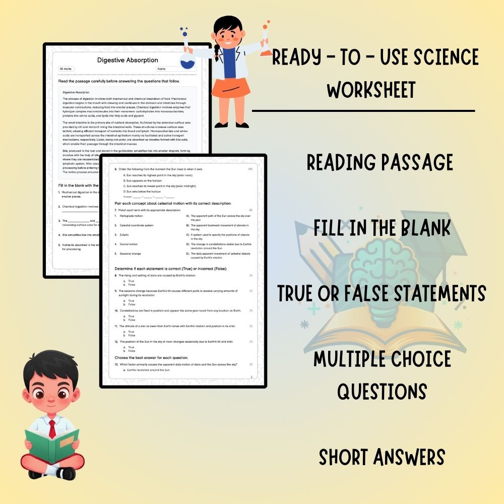 Grade 9 Science worksheet worksheet — Grade 9 Science Worksheet | Digestive Absorption & Nutrient Transport (PDF) — page 2