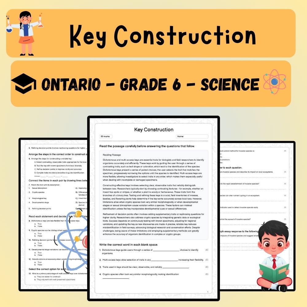 Grade 6 Science worksheet worksheet — 6th Grade Science | Constructing Identification Keys Worksheet (PDF ) — page 1