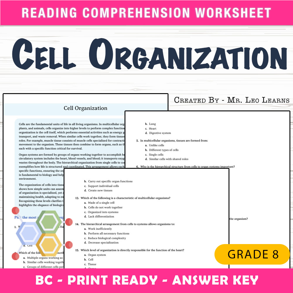Grade 8 Science worksheet mcq paper worksheet — Grade 8 Science — Cell Organization Worksheet MCQ Paper — page 1