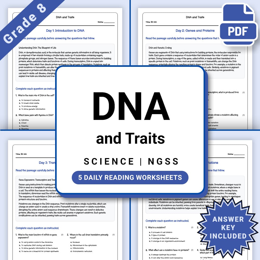 Grade 8 Science daily reading worksheet worksheet — Grade 8 Science – DNA and Traits Daily Reading Worksheet(PDF + Answer…