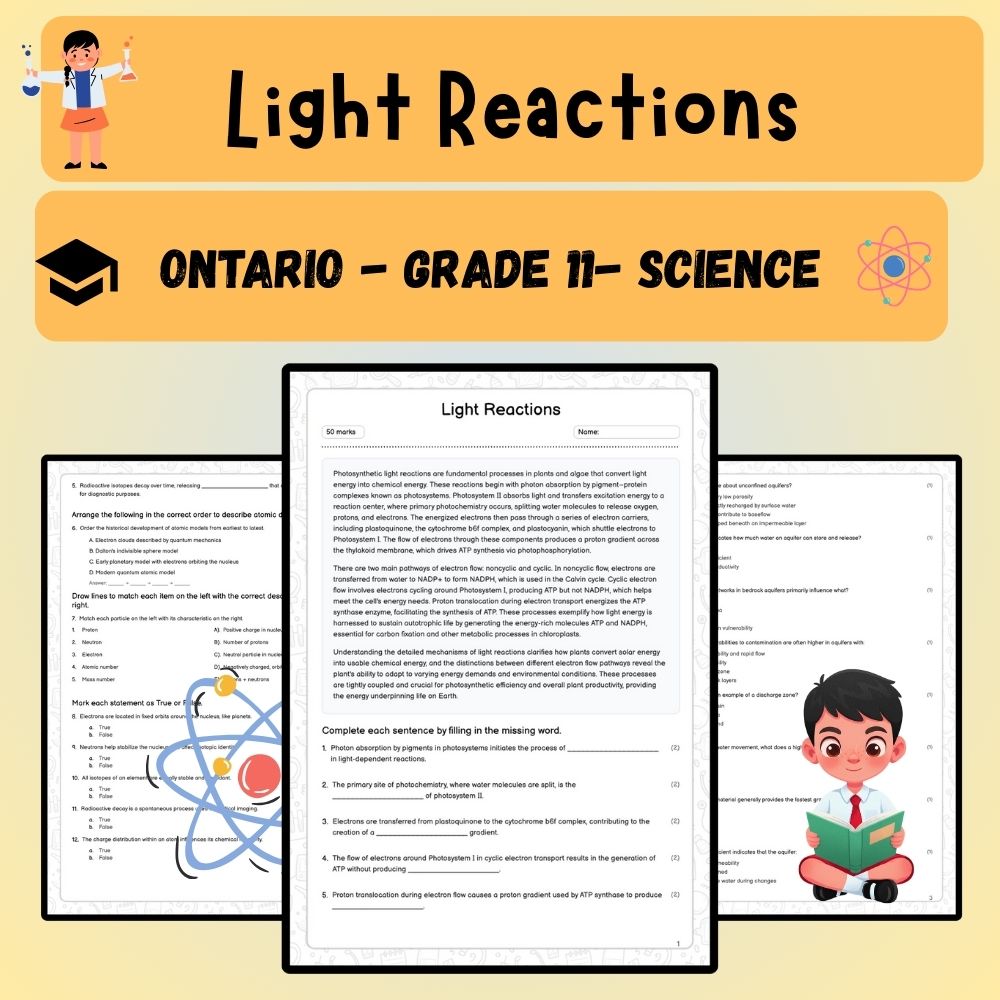 Grade 11 Science worksheet worksheet — Grade 11 Science | Light Reactions Worksheet – Ontario Standard (PDF) — page 1