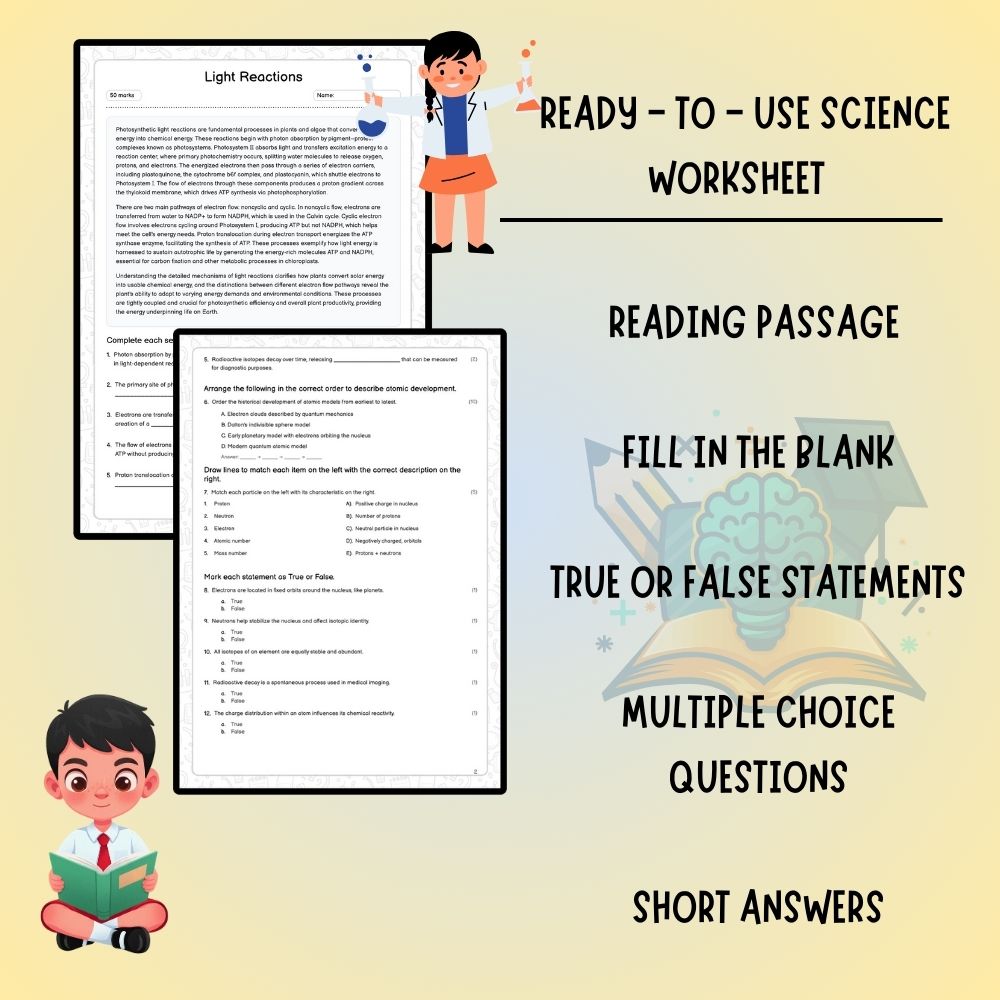 Grade 11 Science worksheet worksheet — Grade 11 Science | Light Reactions Worksheet – Ontario Standard (PDF) — page 2