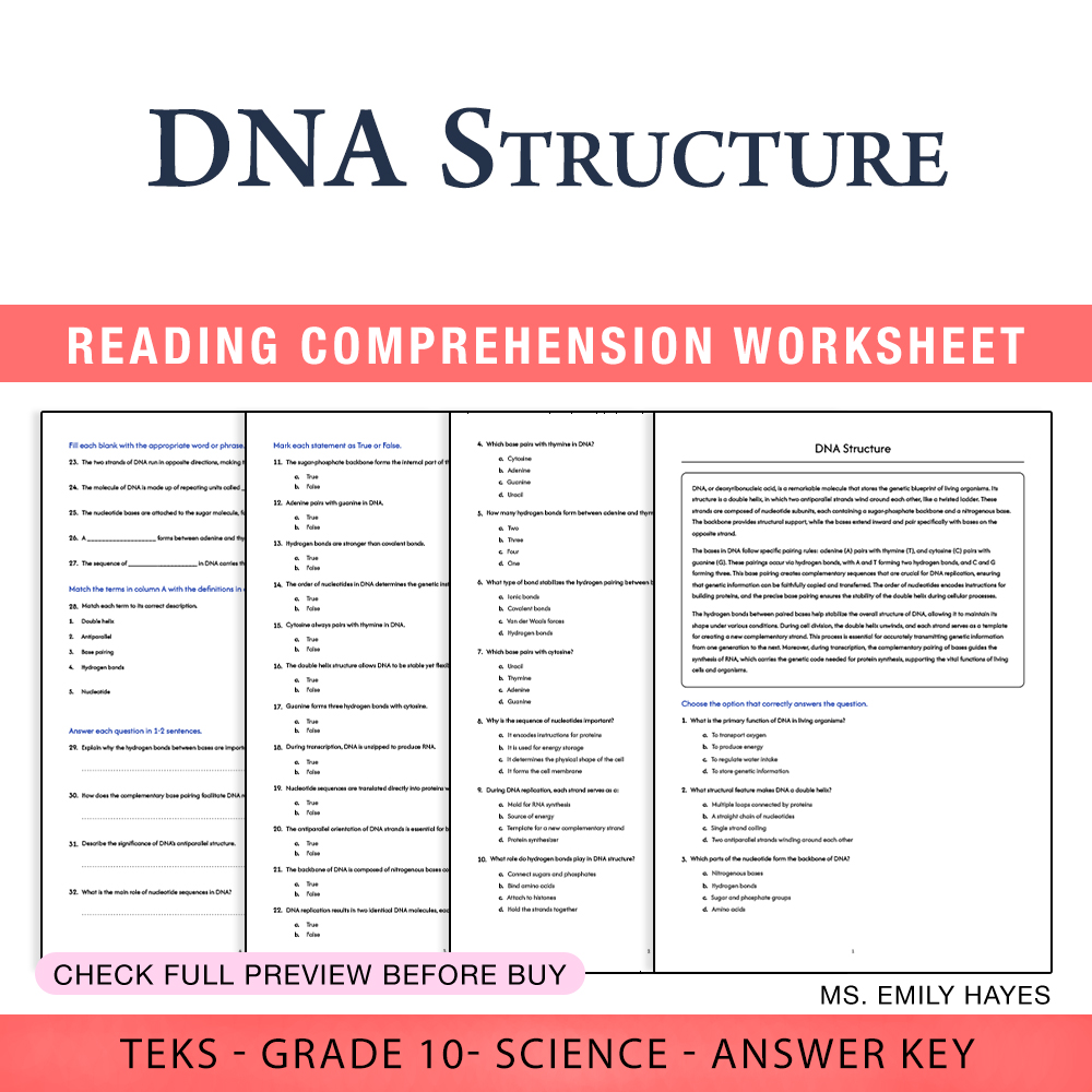 Grade 10 Science worksheet worksheet — 10th Grade Science | DNA Structure Worksheet (PDF+ Answer Key) — page 1