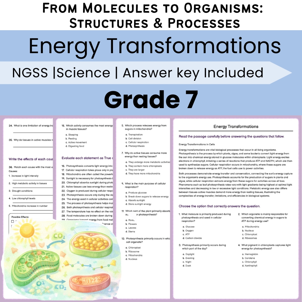 Grade 7 Science Lesson Bundle | From Molecules to Organisms NGSS — included worksheet 4