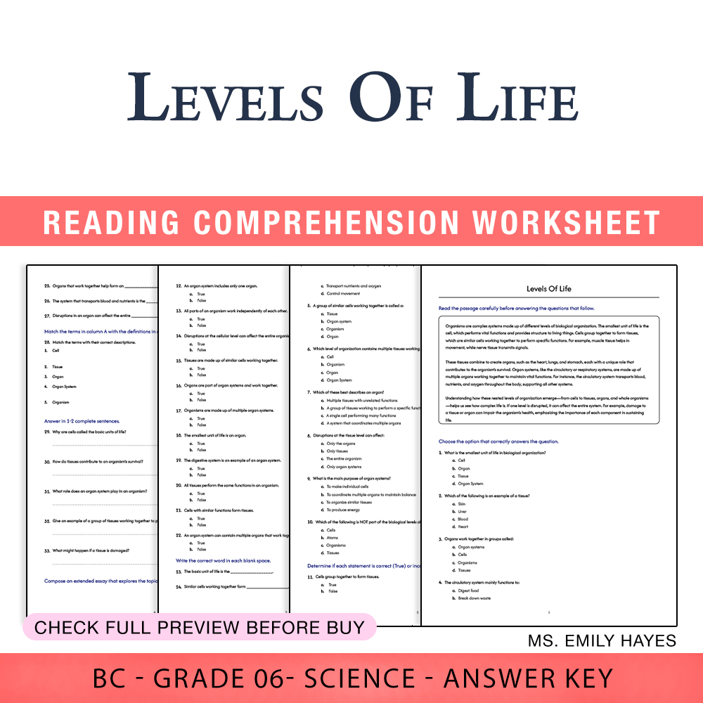 Grade 6 Science worksheet worksheet — 6th Grade Science | Levels Of Life Worksheet (PDF+ Answer Key) — page 1