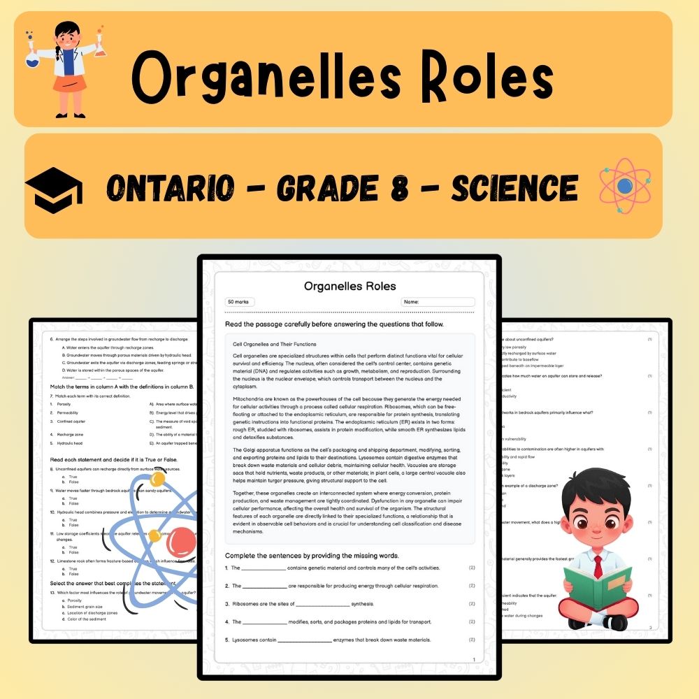 Grade 8 Science worksheet worksheet — Grade 8 Science | Organelles Roles Worksheet (PDF ) - Ontario Standards — page 1