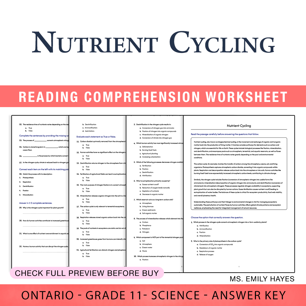 Grade 11 Science worksheet worksheet — 11th Grade Science | Nutrient Cycling Worksheet (PDF + Answer Key) — page 1