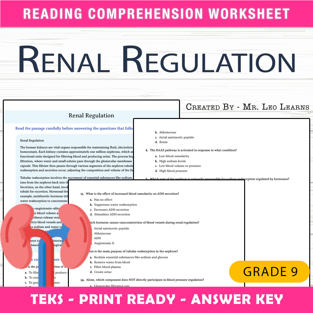 Grade 9 Science worksheet worksheet — Grade 9 Science – Renal Regulation Worksheet for Mastery — page 1