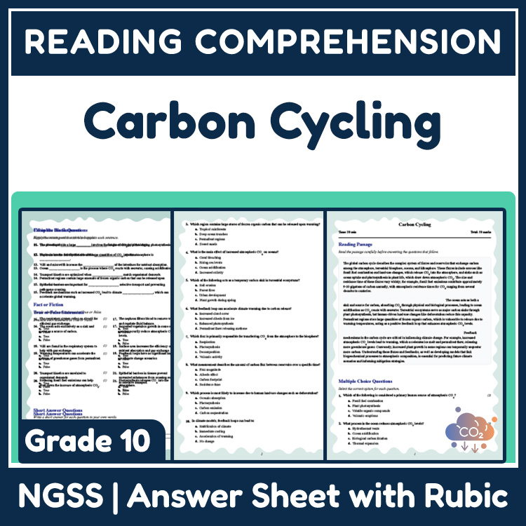 Grade 10 Science reading worksheets worksheet — 10th Grade Science | Carbon Cycling Reading Worksheet (PDF & Answer Key) —…
