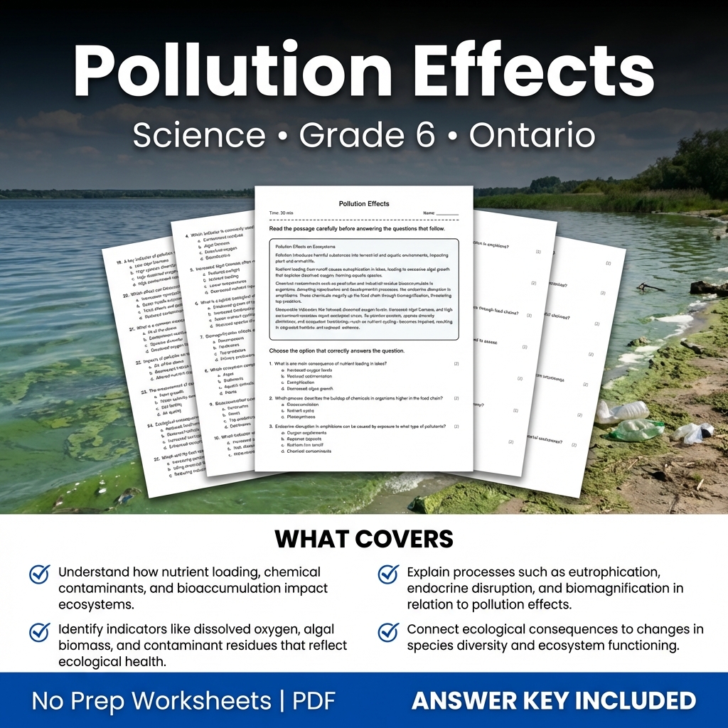 Pollution Effects Worksheet for Grade 6 Science | Ontario Standards