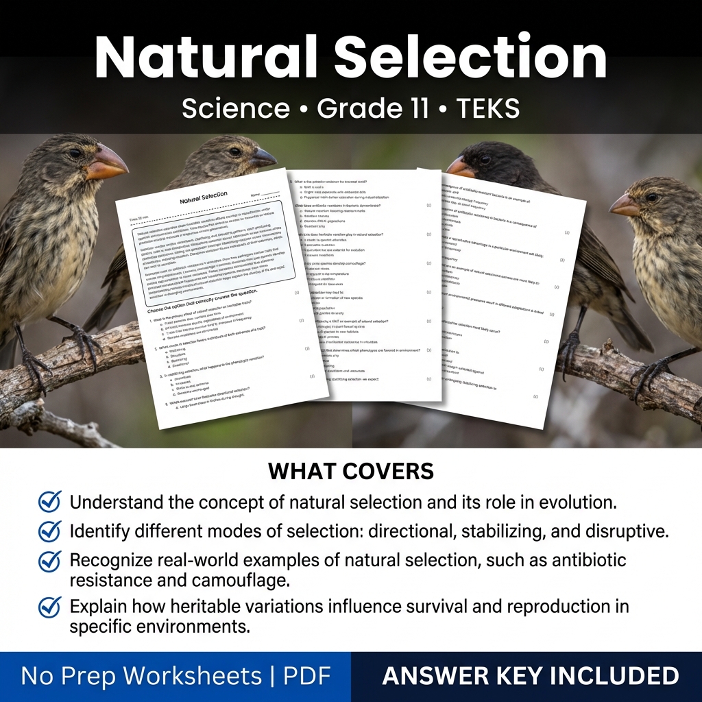 Grade 11 Science worksheet — Natural Selection Worksheet for Grade 11 Science | TEKS-Aligned Practice