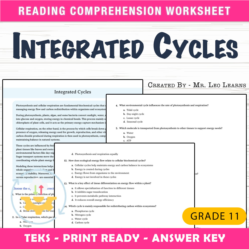 Grade 11 Science worksheet worksheet — Grade 11 Science — Integrated Cycles Worksheet for Mastery — page 1