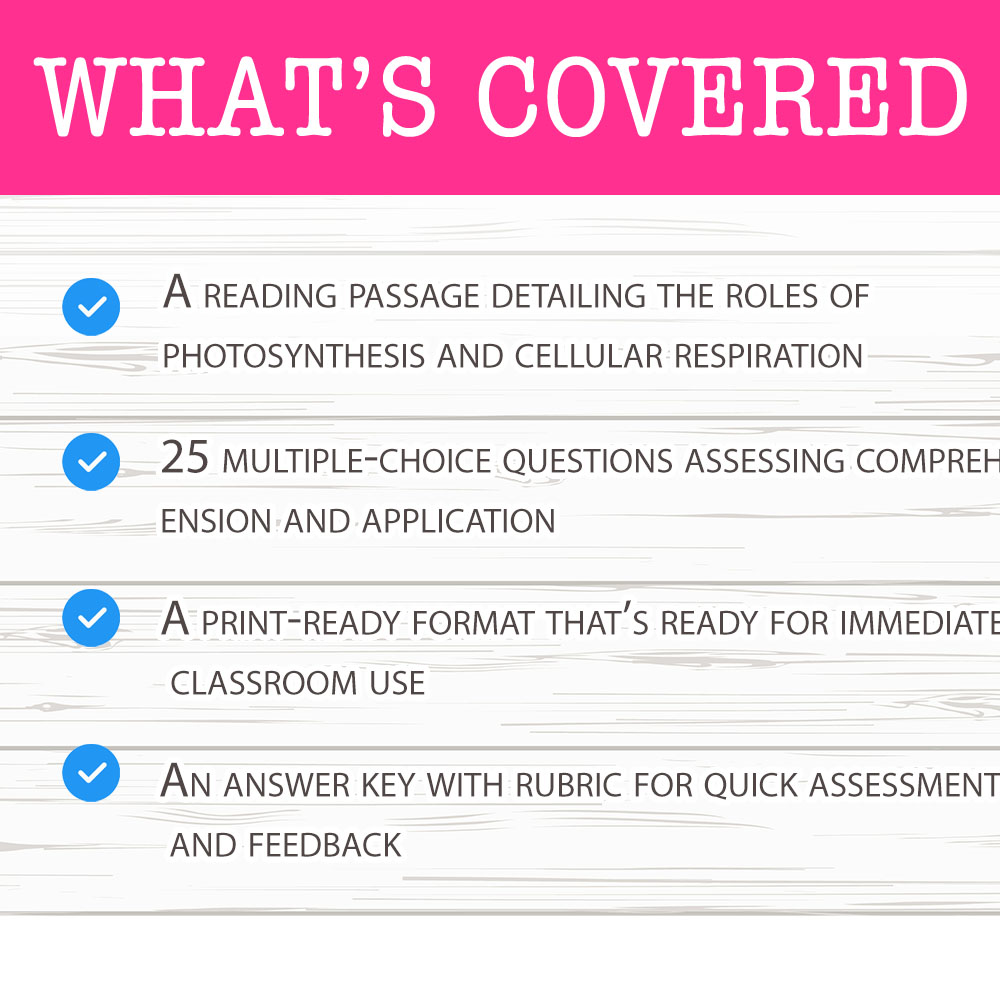 Grade 11 Science worksheet worksheet — Grade 11 Science — Integrated Cycles Worksheet for Mastery — page 2