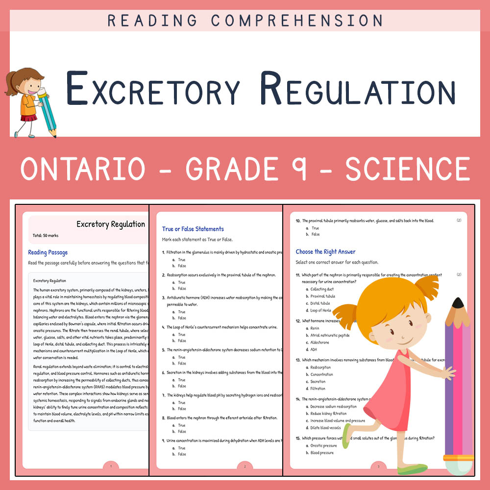 Grade 9 Science worksheet elena worksheet — Grade 9 Science | Excretory Regulation Worksheet Elena | Ontario Standard — pa…