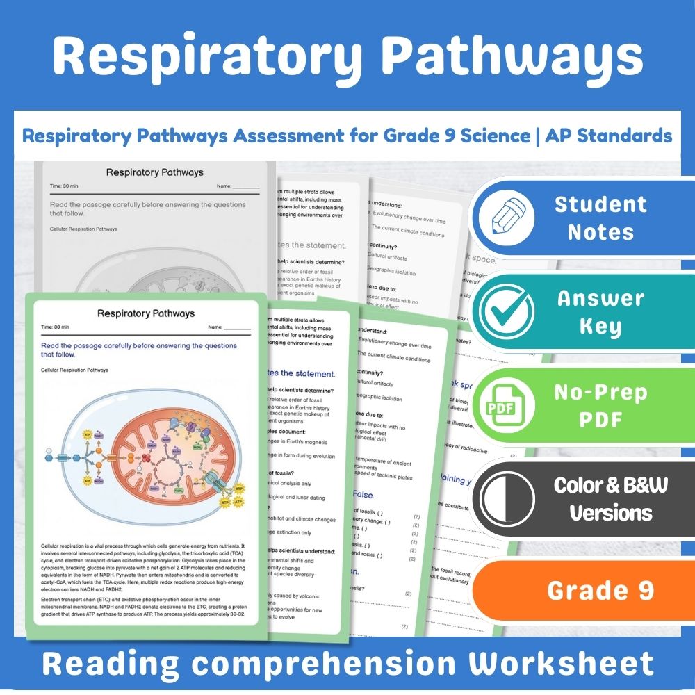 Grade 9 Science assessment worksheet — Respiratory Pathways Assessment for Grade 9 Science | AP Standards — page 1