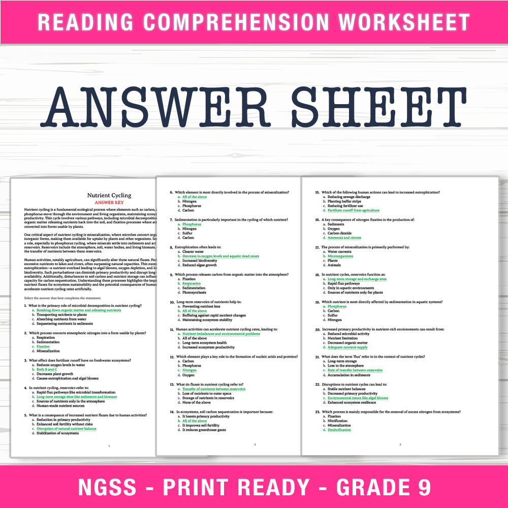 Grade 9 Science worksheet worksheet — Grade 9 Science | Nutrient Cycling Worksheet (PDF + Answer Key) — page 2