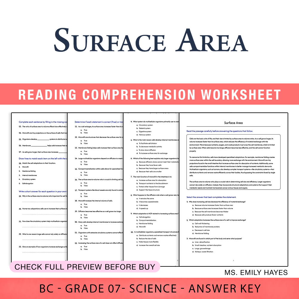 Grade 7 Science worksheet worksheet — 7th Grade Science | Surface Area Worksheet (PDF+ Answer Key) — page 1