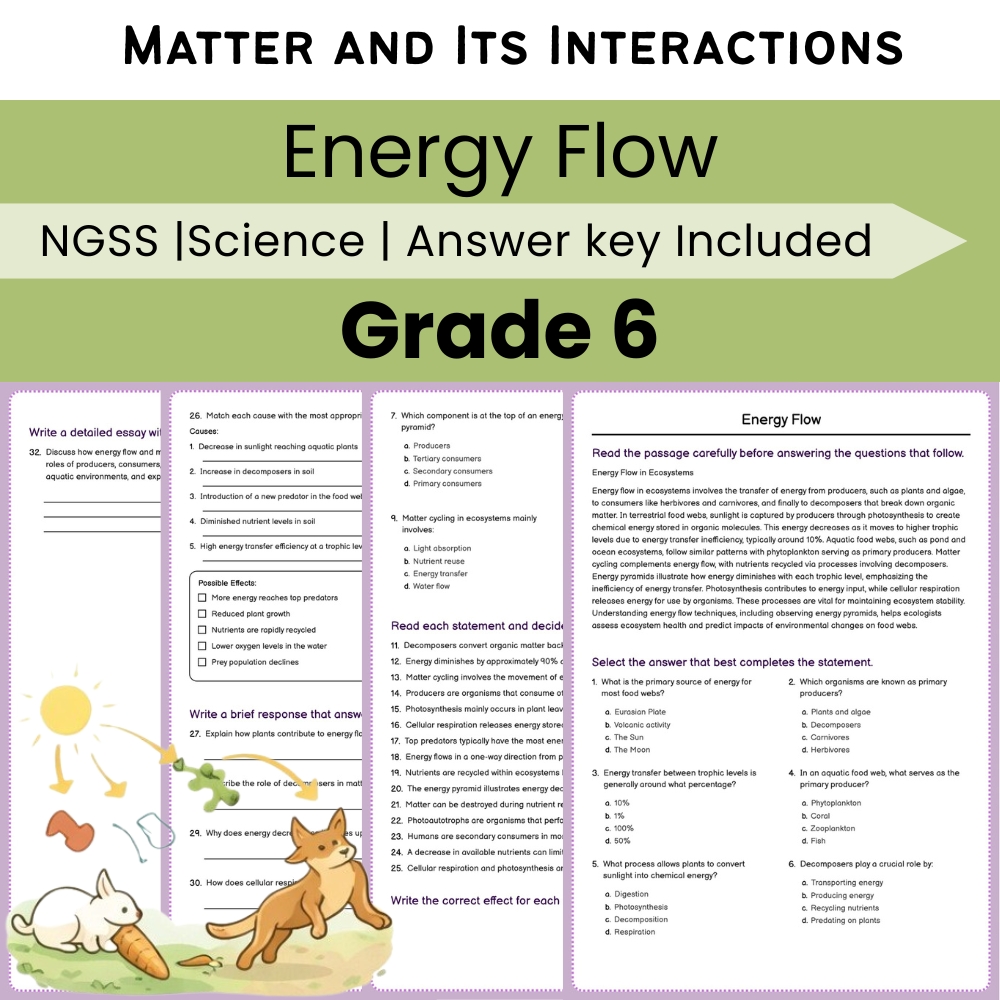 Grade 6 Science NGSS Worksheet Bundle | Comprehensive STEM Practice Pack — included worksheet 16
