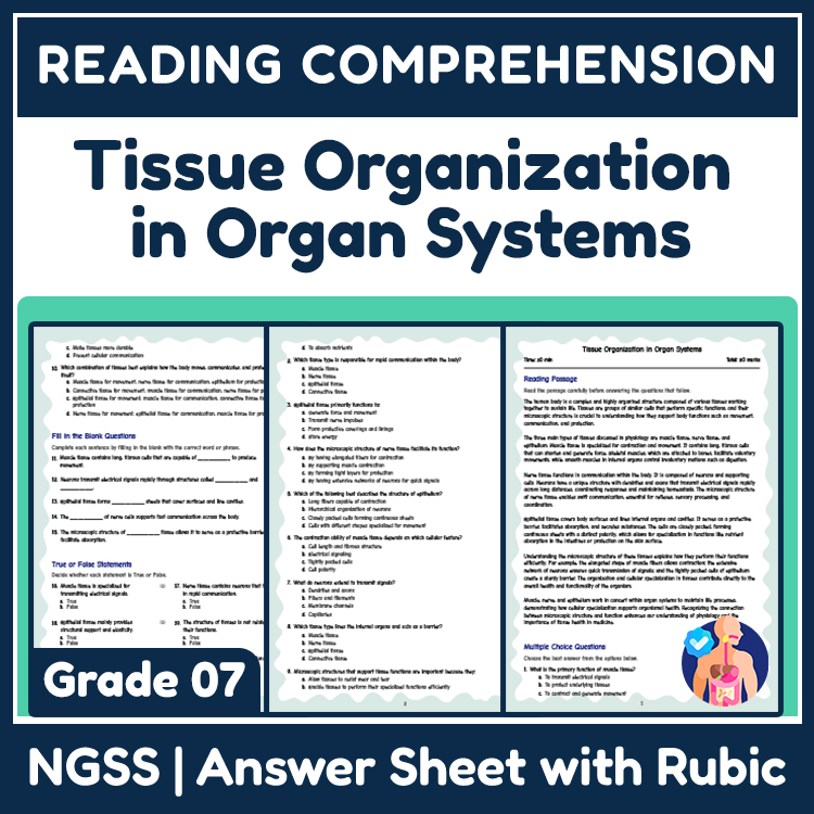Science reading worksheets worksheet — 7th Grade Science | Tissue Organization in Organ Systems Worksheet (Answer Key) — p…