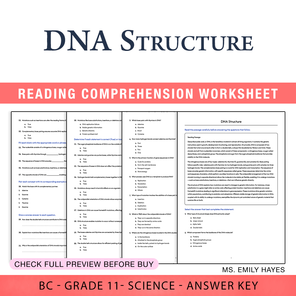 Grade 11 Science worksheet worksheet — 11th Grade Science | DNA Structure Worksheet (PDF + Answer Key) — page 1
