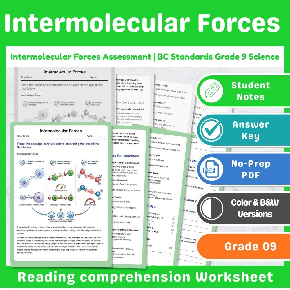 Grade 9 Science Mini Bundle | Chemical Reactions Assessment – BC Standards — included worksheet 7