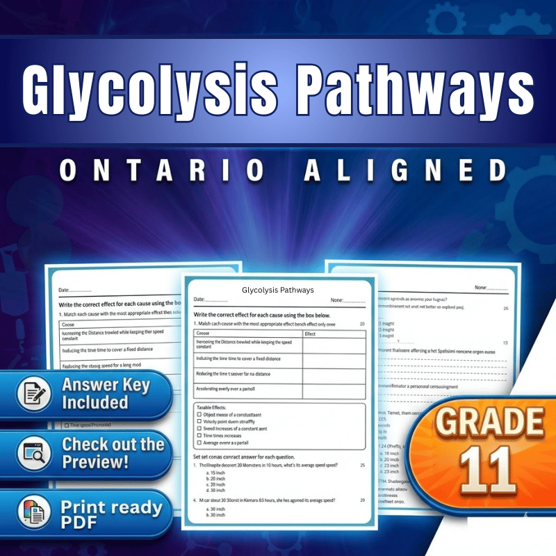 Grade 11 Science | Glycolysis Pathways Worksheet (Ontario) (PDF)